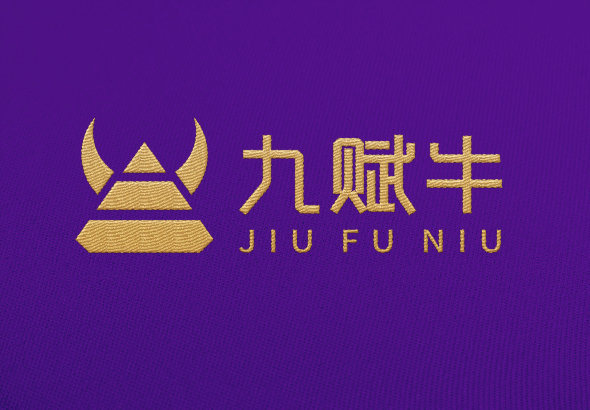 南寧教育投資機(jī)構(gòu)“九賦牛”+品牌logo設(shè)計(jì)
